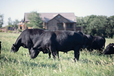 Ranch Hand Ground Beef Box